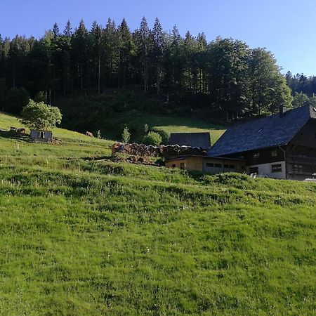 Ferienwohnung Glashuette Sankt Margen Luaran gambar