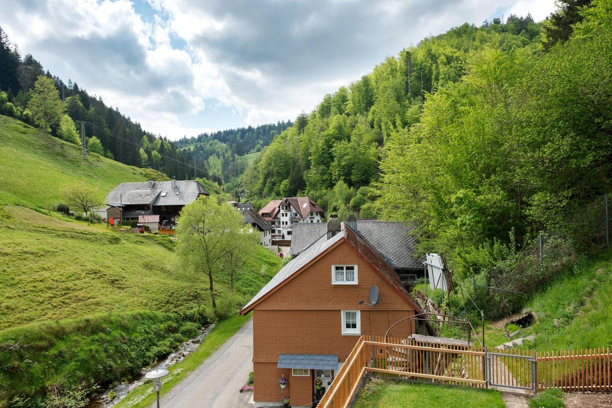 Ferienwohnung Glashuette Sankt Margen Luaran gambar